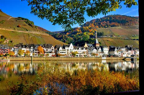 Zell (Mosel) 